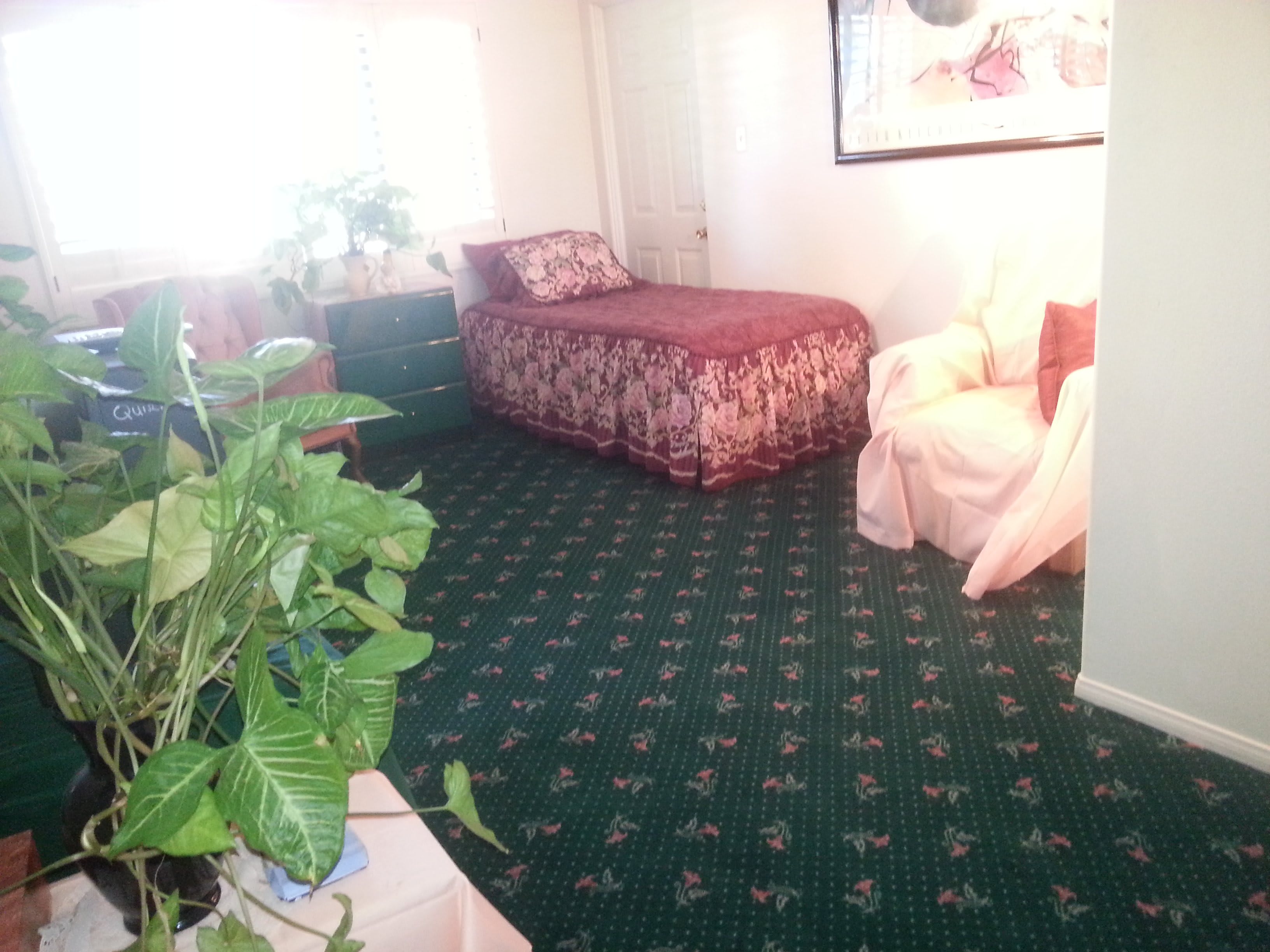 Photo of Carino's Quality Home Care, INC