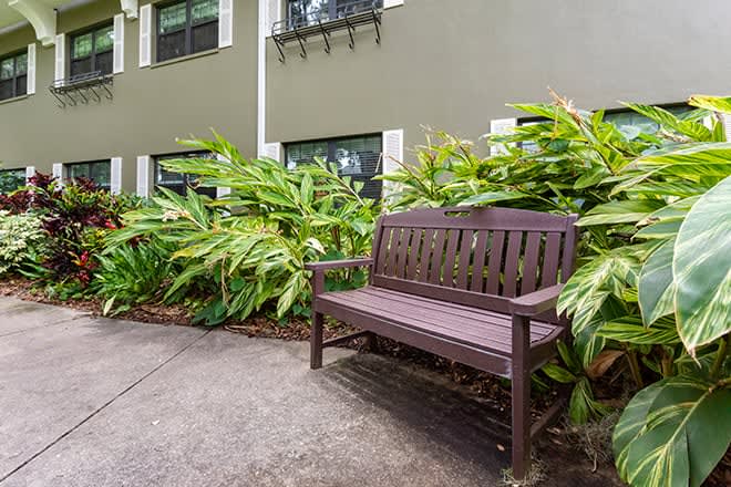 Brookdale Sarasota Midtown outdoor common area