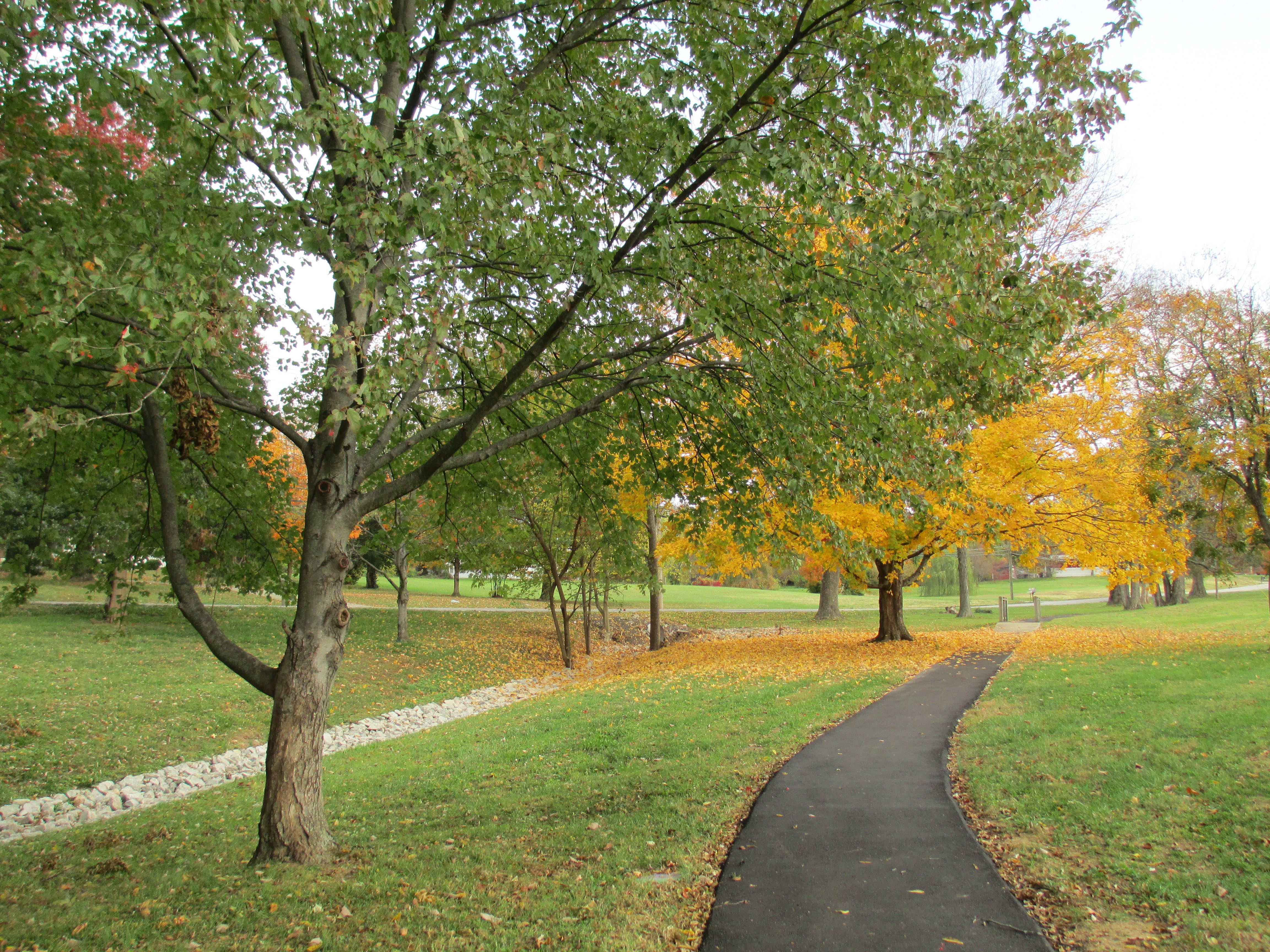 Photo of Wesley Manor Retirement Community