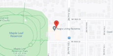 Aegis Ravenna in google map