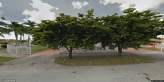 street view of Paradise Adult Center Inc.