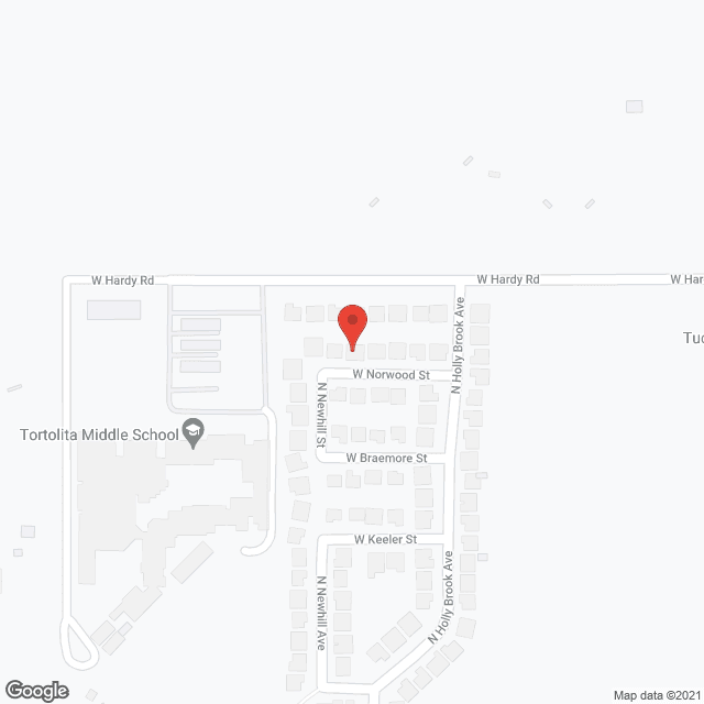 Cortaro Ridge Adult Care Home in google map