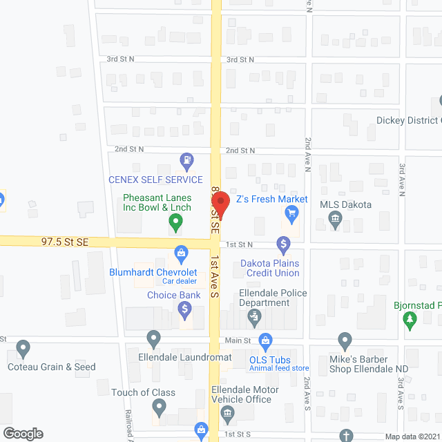 Ellendale Nursing Ctr in google map