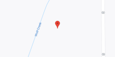 Legacy of Brownsdale in google map