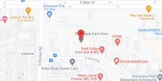 Brookdale East Arbor in google map