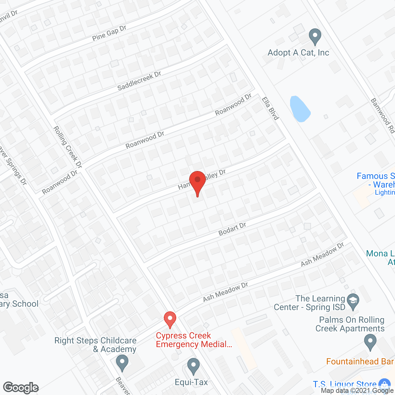 Advanced Personal Care Hamlin in google map