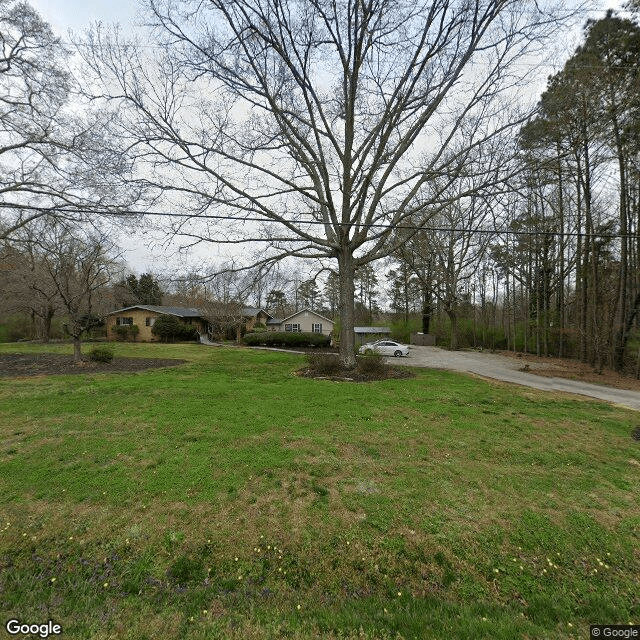 Photo of Resting Nest