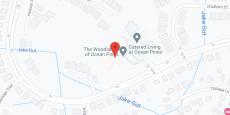 The Woodlands in google map
