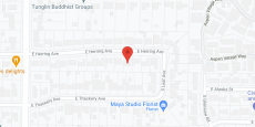 David Angelee and Meril Group in google map