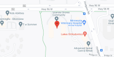Scandia Shores in google map