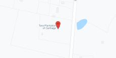Tara Plantation of Carthage in google map