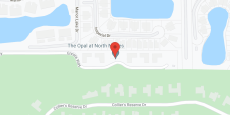Elite at North Naples in google map