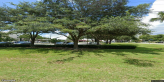 street view of Woodland Towers