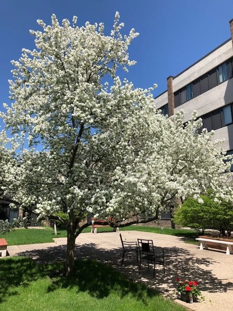 Chapel View Apartments outdoor common area