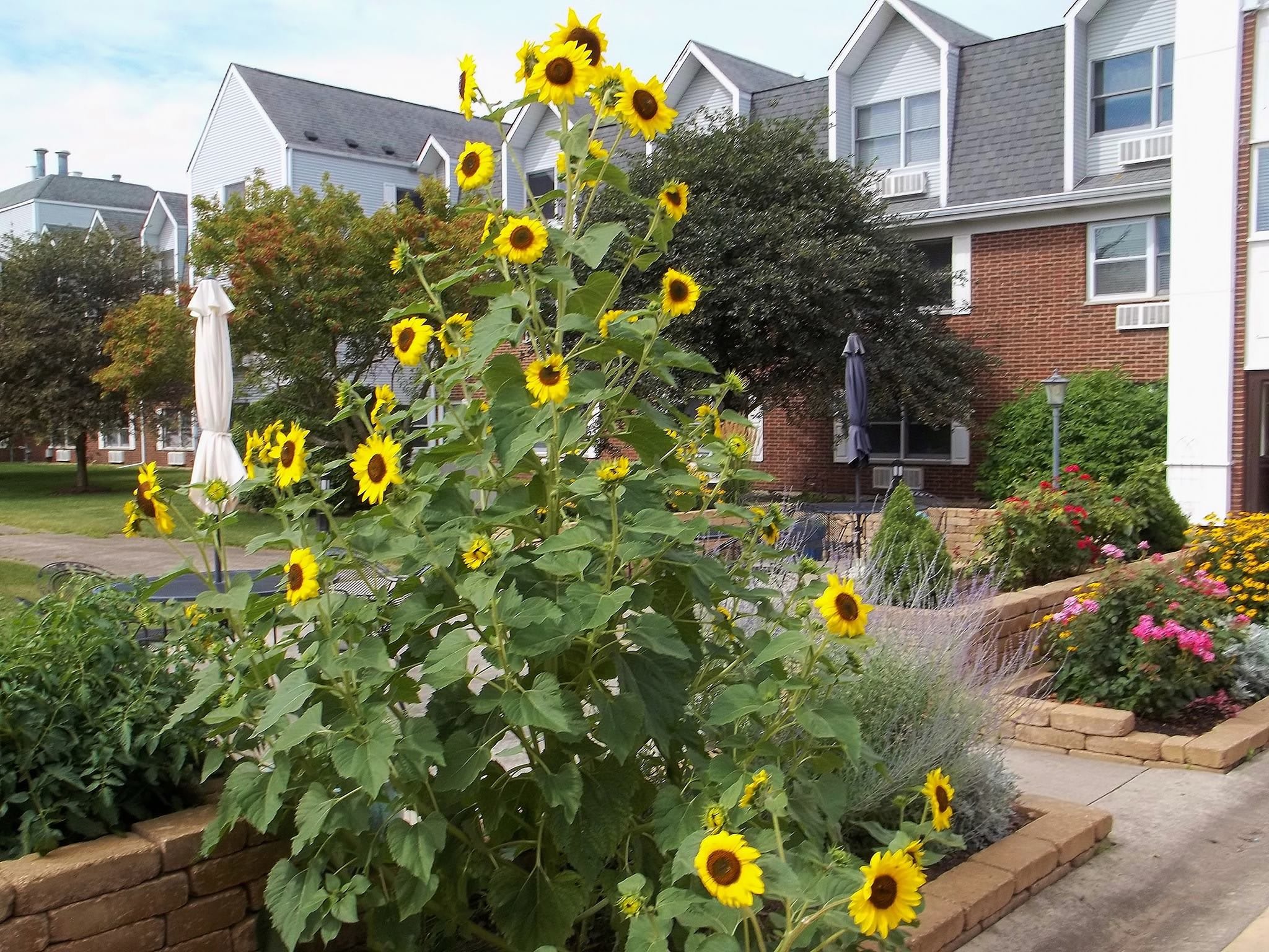 The Fountains of Crystal Lake community exterior