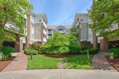 Photo of Talbot Park on Granby