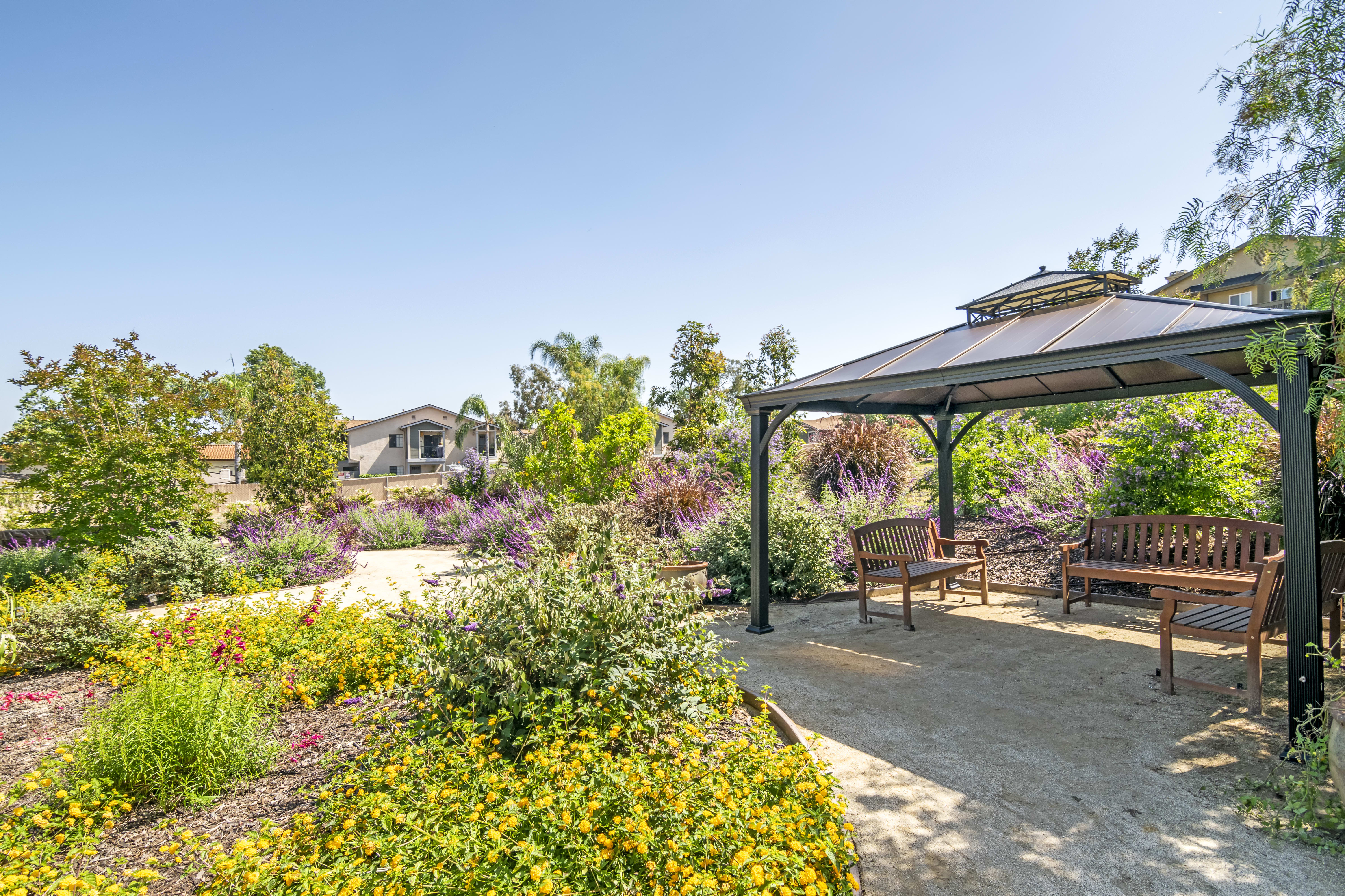 Cypress Court outdoor common area