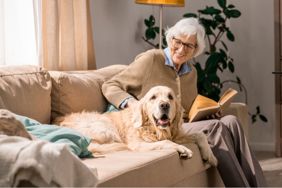 Elderly lady sitting on couch holding book with one hand and petting golden retriever with the other hand.